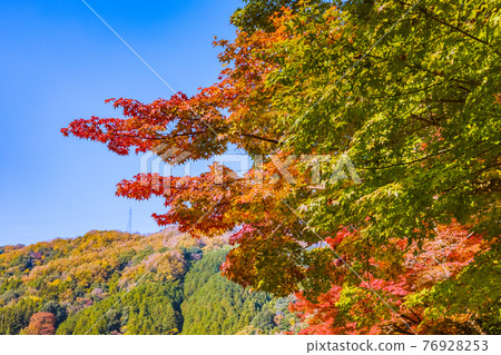 Korankei Gorge, Toyota City, Aichi Prefecture, when the autumn leaves are in full bloom Korankei Gorge, Toyota City, Aichi Prefecture, when the autumn leaves are in full bloom 76928253