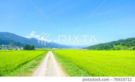 Country landscape in summer 76928712