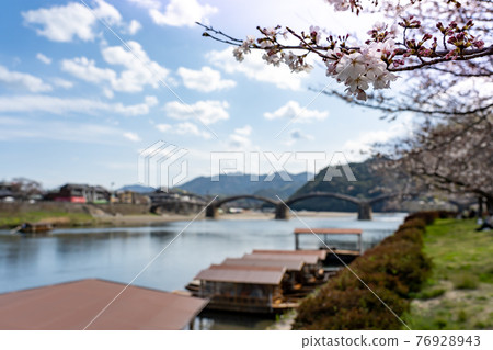 Iwakuni City, Yamaguchi Prefecture Spring Kintaikyo Bridge and Sakura Houseboat Iwakuni City, Yamaguchi Prefecture Spring Kintaikyo Bridge and Sakura Houseboat 76928943