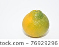 與Citrus unshiu雜交，營造出清新甜美的甜蜜春天 76929296