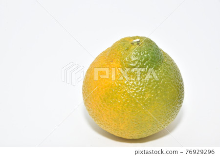 與Citrus unshiu雜交,營造出清新甜美的甜蜜春天 與Citrus unshiu雜交,營造出清新甜美的甜蜜春天 76929296
