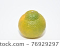 與Citrus unshiu雜交，營造出清新甜美的甜蜜春天 76929297