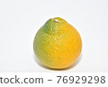 與Citrus unshiu雜交，營造出清新甜美的甜蜜春天 76929298