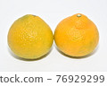 與Citrus unshiu雜交，營造出清新甜美的甜蜜春天 76929299