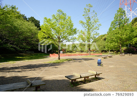 新綠、千葉縣船橋市、田徑公園、成人自由廣場 新綠、千葉縣船橋市、田徑公園、成人自由廣場 76929893
