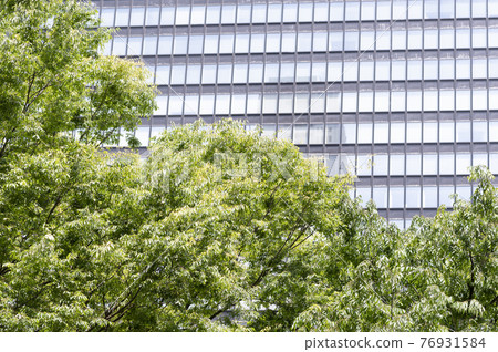 Urban landscape of fresh greenery and skyscrapers Urban landscape of fresh greenery and skyscrapers 76931584