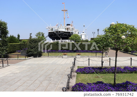 Flower Yokohama Yamashita Park and Hikawa Maru Yokohama City, Kanagawa Prefecture 76931742
