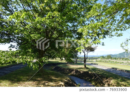 Naoe Ishidai Naoetei Park 米澤市 76933900