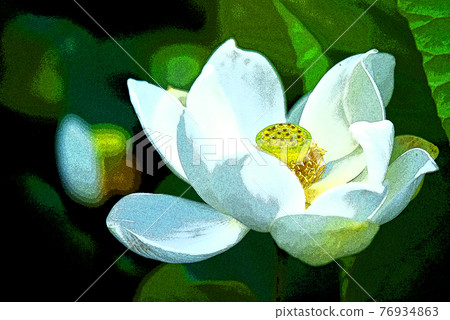 癒合荷花的窗台 76934863