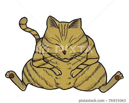 A stray cat that sits down 76935063