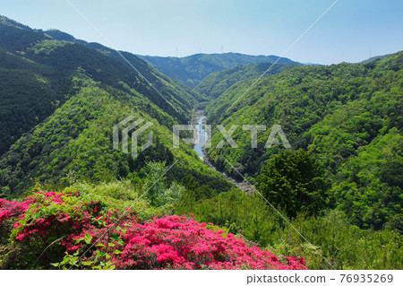 [京都]四月，從清新的綠色高雄公園大道（嵐山）看 76935269