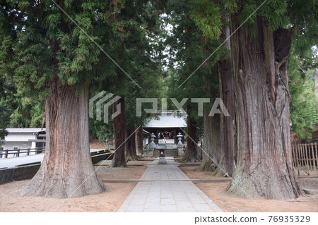 川口淺間神社 川口淺間神社 76935329