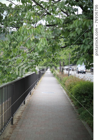 人行道 人行道 76936786