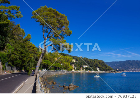 Architecture of Santa Margherita Ligure 76937125