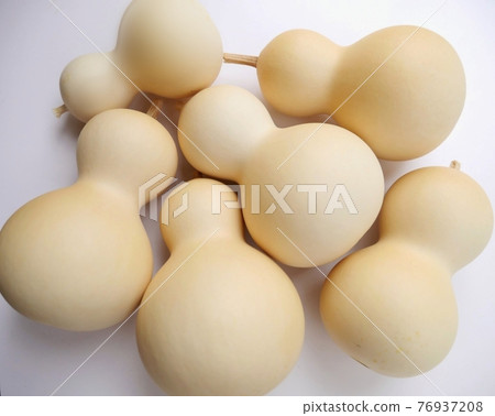 Gourd 76937208