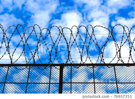Barbed wire on the sky background Barbed wire on the sky background 76937353