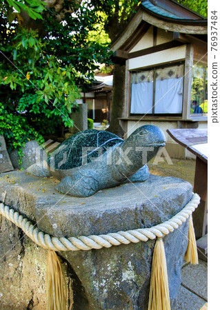 磯崎櫻神社 76937484