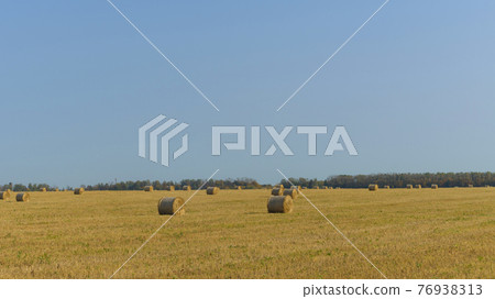 Bales of hay on a farm with summer blue sky background 76938313