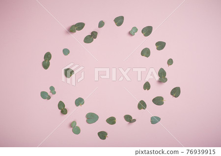 Eucalyptus leaves background. Green leaves of fresh young eucalyptus as a component of oil and cosmetics Eucalyptus leaves background. Green leaves of fresh young eucalyptus as a component of oil and cosmetics 76939915