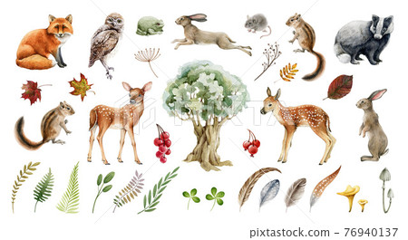 Forest wild animal big set. Watercolor illustration. Fox badger rabbit deer and chipmunk. Bunny, owl bird, toad, feather, leaf. Natural element collection. Realistic woodland set on white background 76940137