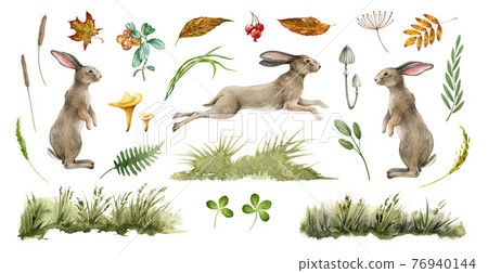 Rabbit animal natural set. Watercolor illustration. Cute bunny stand and jump on white background. Rabbit, grass, leaf, mushroom collection. Natural hand drawn element set. Fluffy bunny side view 76940144