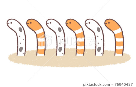 Spotted garden eel and Nishikianago line with sand 76940457
