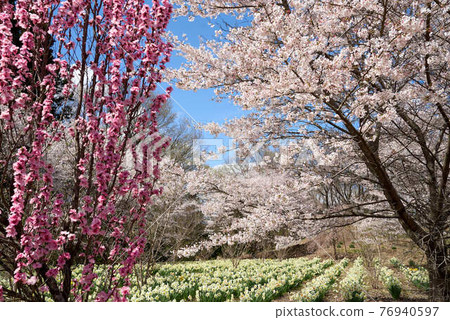 Utsunomiya Toyosato Mahoroba no Sato Satoyama Utsunomiya Toyosato Mahoroba no Sato Satoyama 76940597