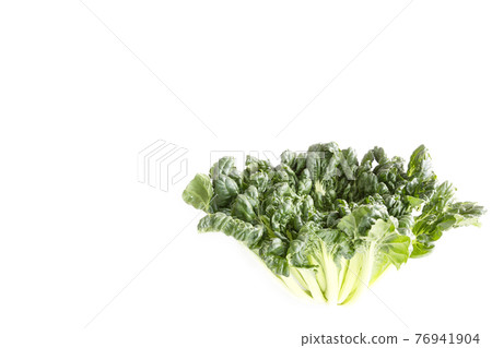 大柴蔬菜 76941904