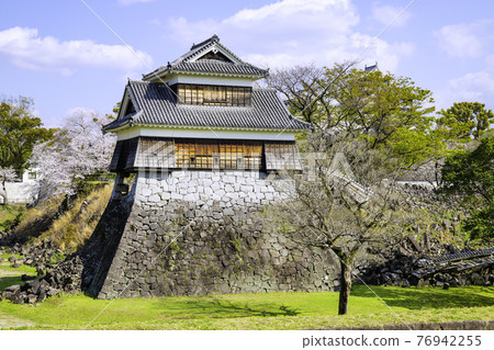 Kumamoto Castle Sakura and Inui Tower (photographed on March 22, 2021) Kumamoto Castle Sakura and Inui Tower (photographed on March 22, 2021) 76942255