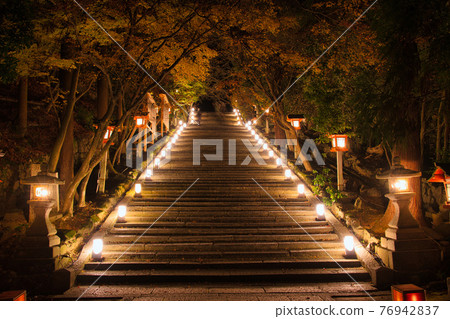 Arashiyama Hanatouro 2020 Early Winter Horinji Temple Arashiyama Hanatouro 2020 Early Winter Horinji Temple 76942837