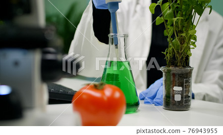 Closeup of botanist reseacher woman taking dna liquid test from medical glass with micropipette Closeup of botanist reseacher woman taking dna liquid test from medical glass with micropipette 76943955