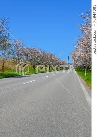 Mother Love Highway Senbonzakura Uchinada Ohashi, Uchinada Town, Ishikawa Prefecture 76944093