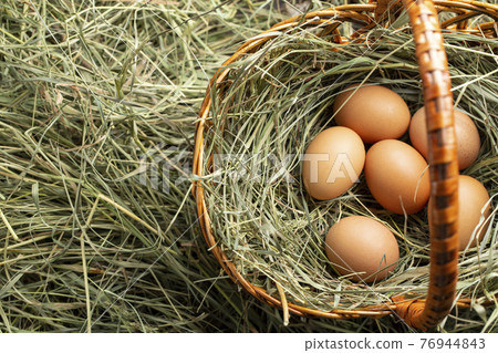 Chicken eggs in a basket with hay. 76944843