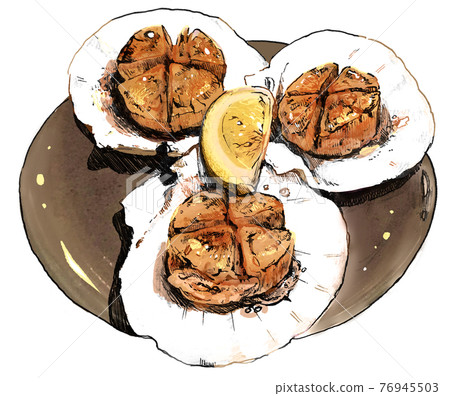 扇貝（彩色版） 76945503