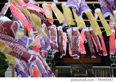 Carp streamer Carp streamer Many carp streamers in the shrine precincts Swimming carp streamer Carp streamer Carp streamer Many carp streamers in the shrine precincts Swimming carp streamer 76949347