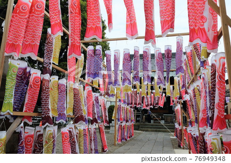 Carp streamer Carp streamer Many carp streamers in the shrine precincts Swimming carp streamer Carp streamer Carp streamer Many carp streamers in the shrine precincts Swimming carp streamer 76949348