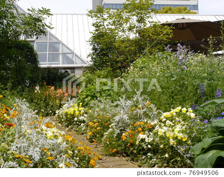 春天多摩市綠色生活中心 76949506