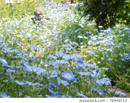 Spring Tama City Green Live Center 76949514