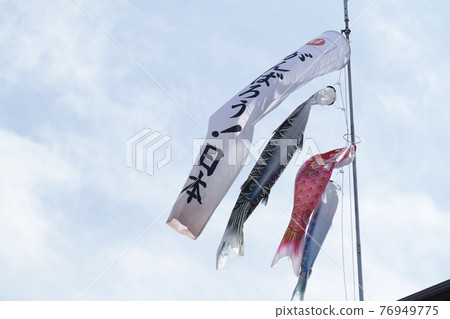 Carp Coi flags Carp Coi flags 76949775