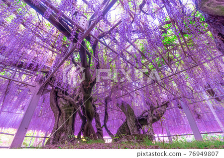 Sunset and Ofuji in Nakayama, Fukuoka's nature Sunset and Ofuji in Nakayama, Fukuoka's nature 76949807