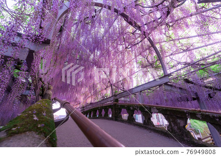 Sunset and Ofuji in Nakayama, Fukuoka's nature 76949808