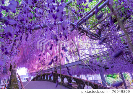 福岡的大自然中山的日落與大富士 76949809