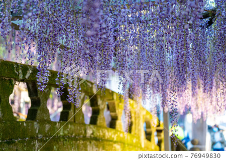 Sunset and Ofuji in Nakayama, Fukuoka's nature Sunset and Ofuji in Nakayama, Fukuoka's nature 76949830