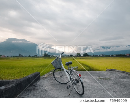 稻田裡的腳踏車 稻田裡的腳踏車 76949909