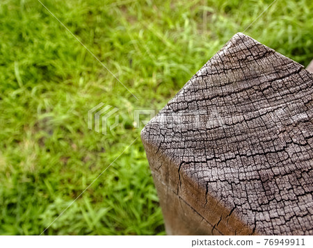綠色的草地上的木頭柱子 綠色的草地上的木頭柱子 76949911