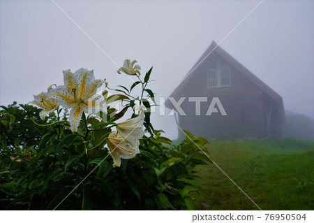 米山金線蓮和山頂避難小屋 76950504