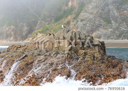 Scenery of Kitayamazaki, Iwate Prefecture and its surroundings in the summer of 2020 76950616