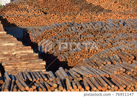 Lumber storage 76951147