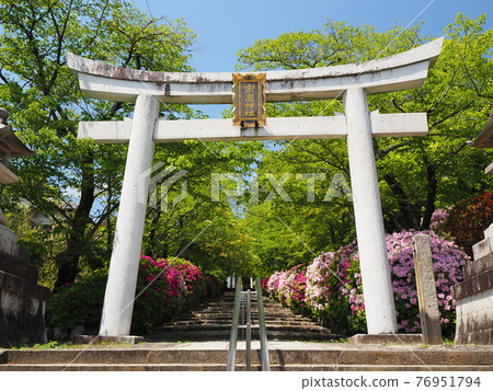 Higashiyama, Kyoto, Hirado Tsutsuji of Munetada Shrine 76951794