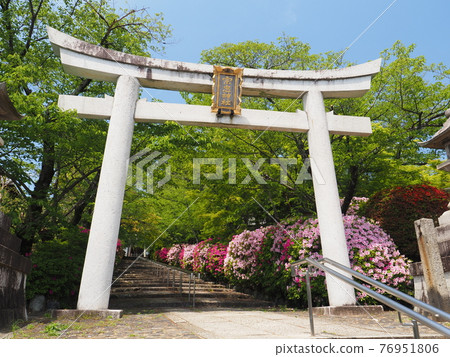 Higashiyama, Kyoto, Hirado Tsutsuji of Munetada Shrine 76951806